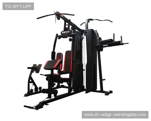 星驰健身器材楼梯机评测:体育爬坡训练设备对比