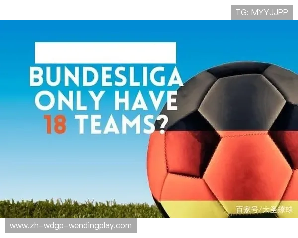 德甲扩军至20支球队是否可行？专家观点与联盟态度