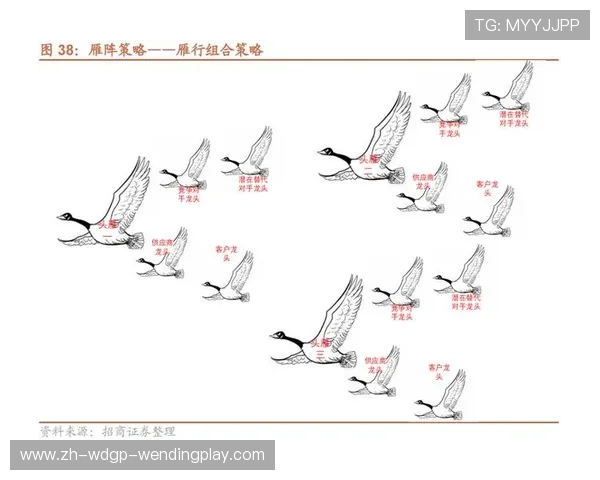 跨文化视角下CBA与美国足球市场渗透策略的比较与启示 跨文化视角下CBA与美国足球市场渗透策略的比较与启示